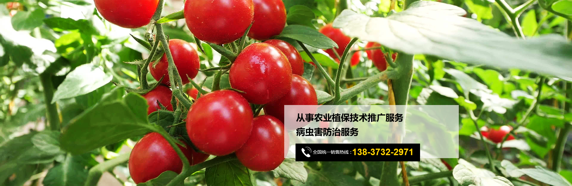 河南丰之源农作物保护有限公司